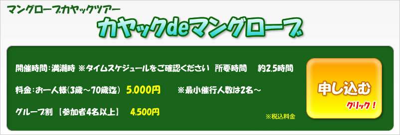 カヤックdeマングローブ